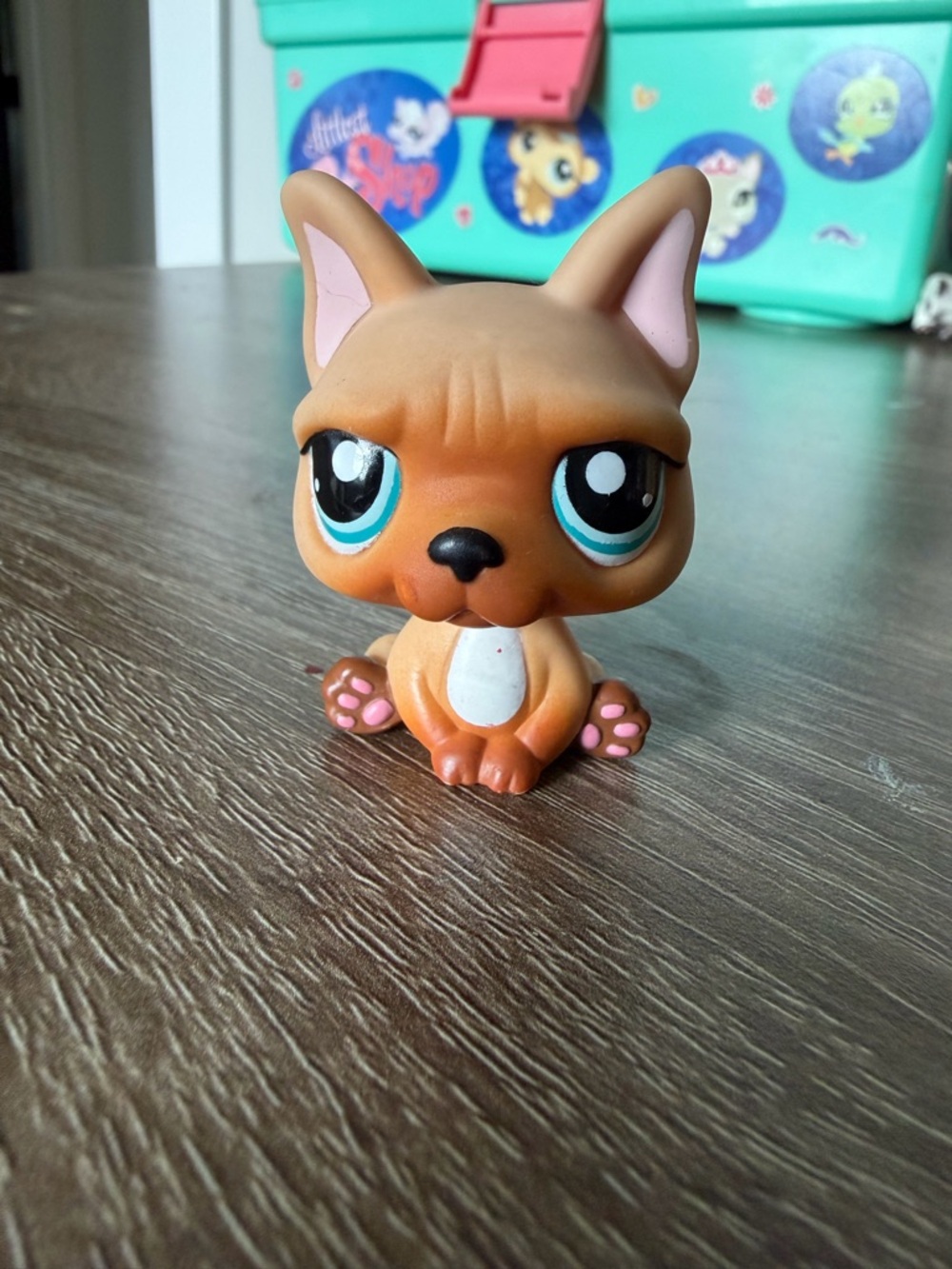 Littlest Pet Shop #1847 French bulldog